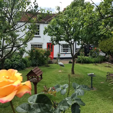 Swan Guest House London - Heathrow Hillingdon Exterior photo